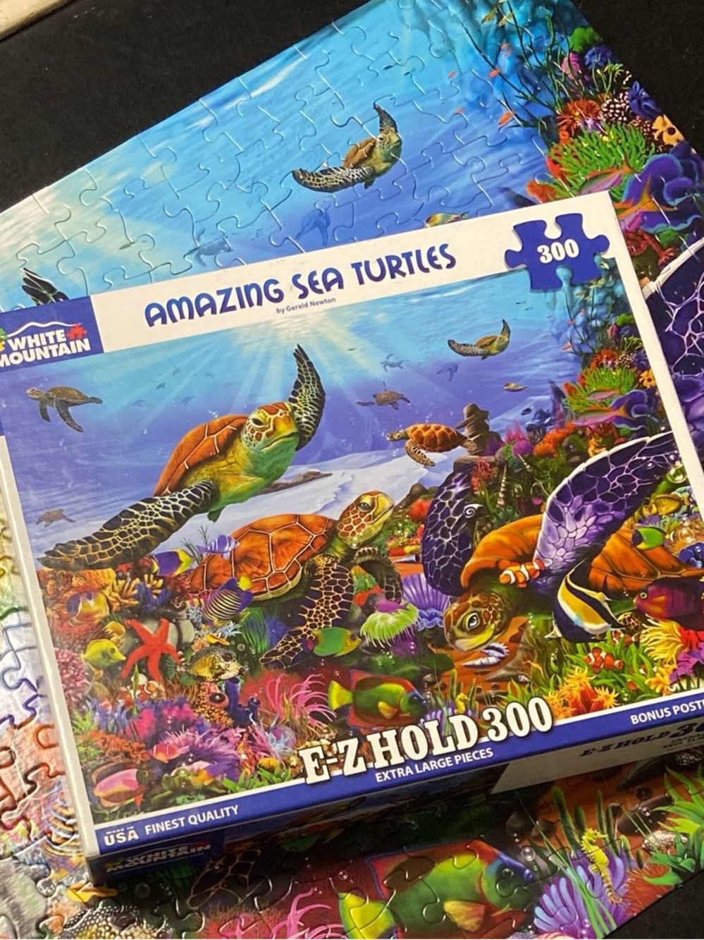 White Mountain Amazing Sea Turtles (2023) 🎨 Gerald Newton